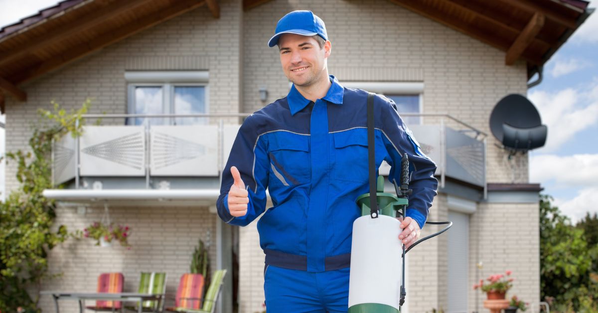 pest control prices feature image